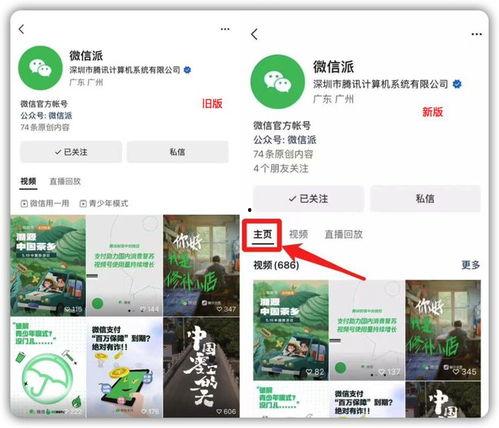 怎么查爆料的作品视频号,如何通过作品视频号追踪查证爆料真相  第1张